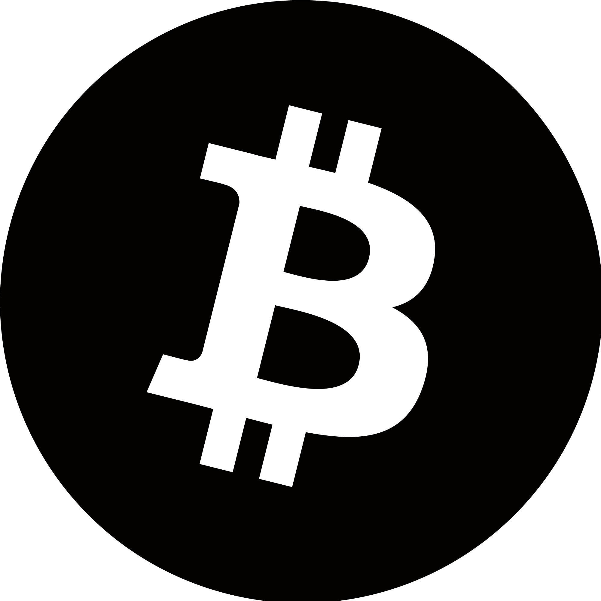 Bitcoin Logo